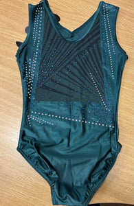 Elite Training Leo (only avail certain groups )
