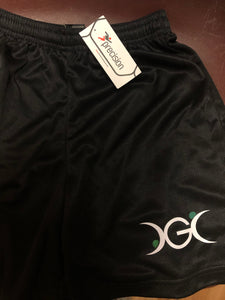 Secondhand Recreational boys  shorts